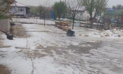Eskişehir'in ilçesi 20 dakikada beyaza büründü