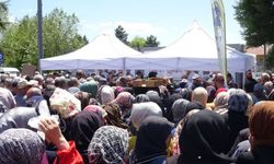 Tavşanlı'da fide dağıtımında izdiham