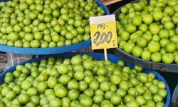 Yaz geldi, erikler tezgahlarda görülmeye başladı