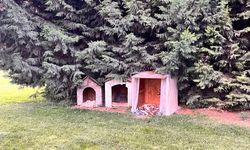 Eskişehir'de vatandaşın duyarlı davranışı takdir topladı