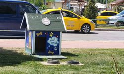 Eskişehir'de sokak hayvanlarına can olan uygulama