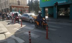 Eskişehir'de sayıları arttıkça sorunda  tırmanıyor