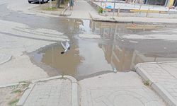 Eskişehir'de o sorun artık çile haline geldi: İsyan ettiriyor!