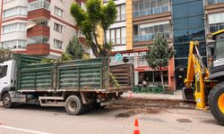 Eskişehir’e bahar dokunuşu