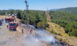 Marmaris’te çıkan orman yangını büyümeden söndürüldü