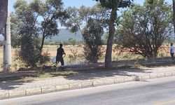 Muğla’da trafo yakınında yangın paniği