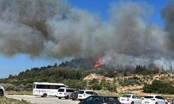 Aliağa’da 3 günde üçüncü orman yangını