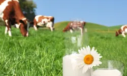 Bakan Yumaklı'dan Dünya Süt Günü mesajı