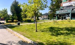 Tepebaşı Belediyesi parklarda çalışmalarına başladı