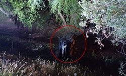 Eskişehir Porsuk Çayı'nda mucize kurtuluş
