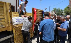 Eskişehir'de üreticiyi don vurmuştu: Büyükşehir'den can suyu