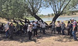 Odunpazarı’nın koca çınarları doğayla iç içe gün geçirdi