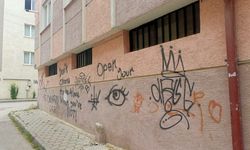Eskişehir'de bina duvarlarında izinsiz yazılar