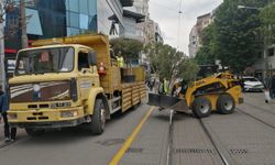 Eskişehir'deki caddelere yazlık süs bitkileri yerleştirildi