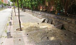 Eskişehir'deki kaldırımlar yenileniyor