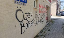 Eskişehir'deki duvarlara izinsiz yazılan yazılar tepki çekiyor