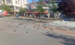 Eskişehir Ulus meydanı güvercinlerin meskeni oldu