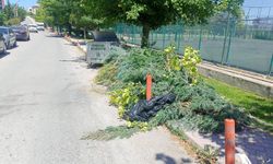 Kaldırımlar bahçe atıklarıyla kapatıldı