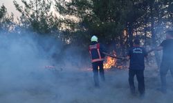 Göpazarı'ndaki yangının ardından hasar tespit incelemesi