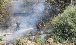 Eskişehir komşusundaki yangın soğutma çalışması bitti