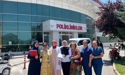 Anne sütü teşviki için sağlık kuruluşlarına denetim