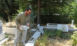 Tavşanlı’da mezarlıkta sürpriz karşılaşma