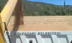 Tarım arazilerinde hasat sevinci