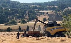 Tavşanlı’da çiftçiler emeklerinin karşılığını almanın heyecanını yaşıyor