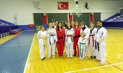 Arı spor başarılı yolda ilerliyor