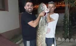 Sakarya Nehri'nde 30 kiloluk dev yayın balığı yakaladılar!