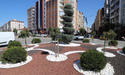 Eskişehir'de su tasarruflu kuru peyzaj uygulaması