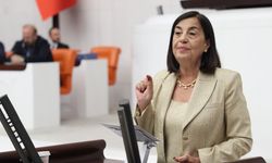 Eskişehirli vekilden maden yasasına tepki: Bir günde yok olacak!