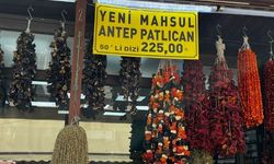 Kurutulmuş patlıcan tezgahta: 50 dizi 225 TL’den satılıyor