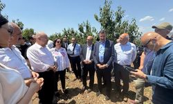 TARSİM'in raporu Eskişehir'de yalanlandı: Zarar daha büyük...