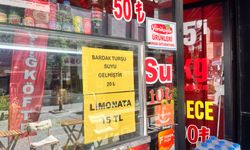 Eskişehir'de turşu suyu fiyatı  20 liraya ulaştı
