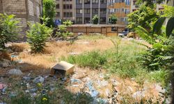Eskişehir Sakarya Dolmuşlarının son durağı çevresinde kirlilik alarmı