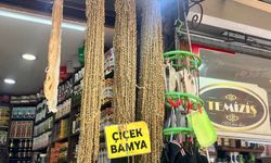Eskişehir'de kilosu 4 bin liradan satılıyordu, fiyatı düştü!