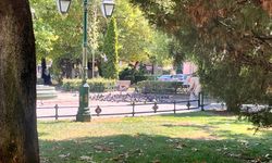 Eskişehir'de görenlerin yüzünü gülümseten manzara!