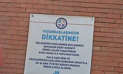 Eskişehir’de sokak hayvanları için kontrollü beslenme çağrısı