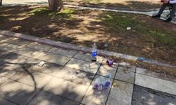 Eskişehir'de duyarsızlık: Çöpün yeri yer değil!