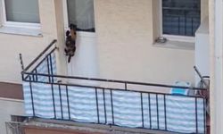 Eskişehir'de tepki çeken olay: Polis hemen müdahale etti