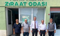 Yenipazar’da tarımda kalkınma hamlesi