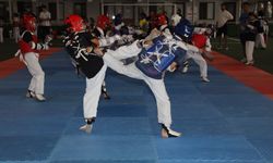 Bilecikli öğrencilerde Taekwondo şenliğinde yer aldı
