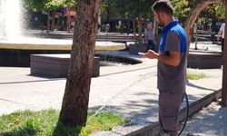 Eskişehir'in yeşil yüzü serinletiyor