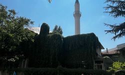 Eskişehir’in Hal Camii yazın yeşile bürünüyor