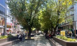 Eskişehir Hamamyolunu sıcak çarptı