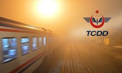 İş arayanlar müjde: TCDD daimi işçi alacak