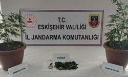 Eskişehir’de evinin balkonunda zehir yetiştirdi!