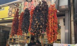 Kış aylarının vazegeçilmesi kuru biber ve patlıcanın faydaları