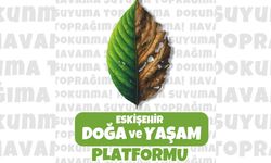 Eskişehir'de Kızıl geyikler ve yaban koyunu ihaleyle satışta: Katliama tepkiler büyüyor!